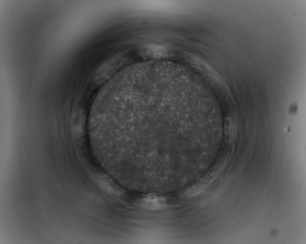 X0000101700760200808071159