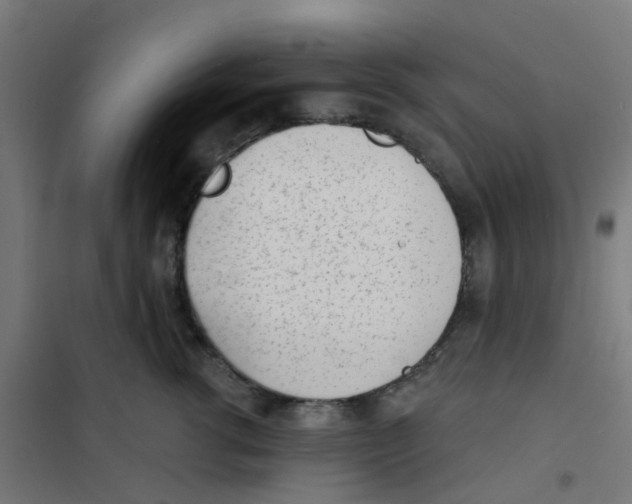 X0000101700762200808071159