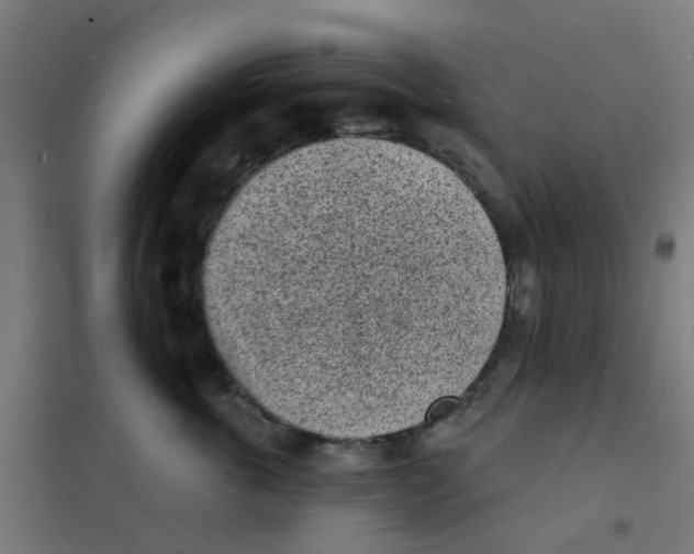 X0000101700763200808071159