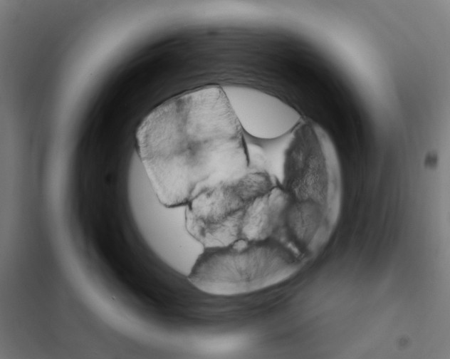X0000101700765200808071159