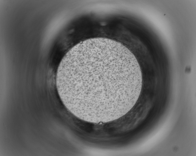 X0000101700766200808071159