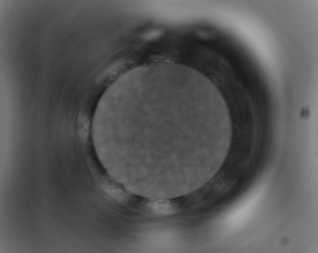 X0000101700767200808071159