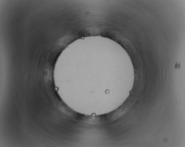 X0000101700768200808071159