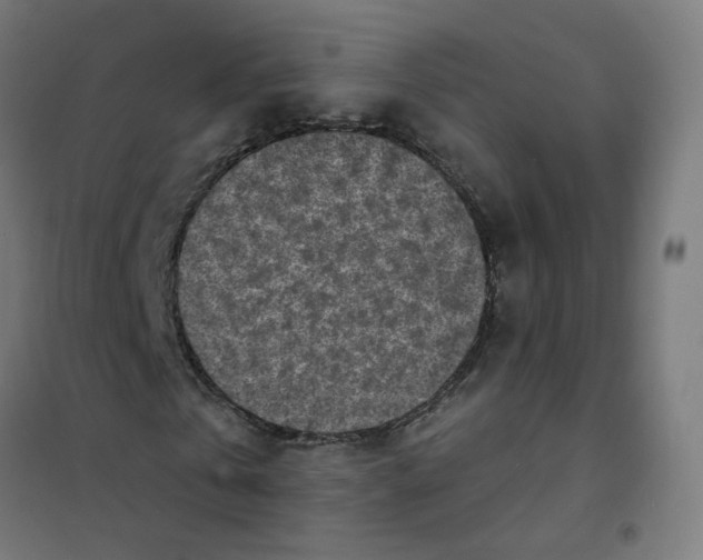 X0000101700769200808071158