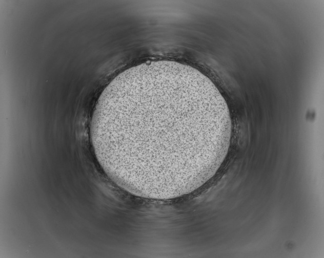 X0000101700770200808071158