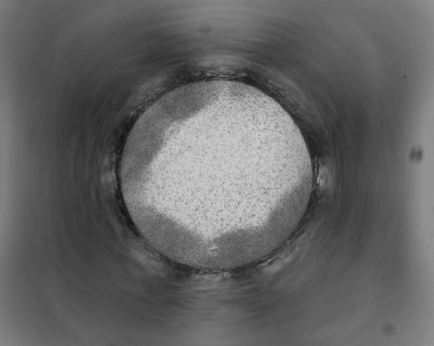 X0000101700771200808071158