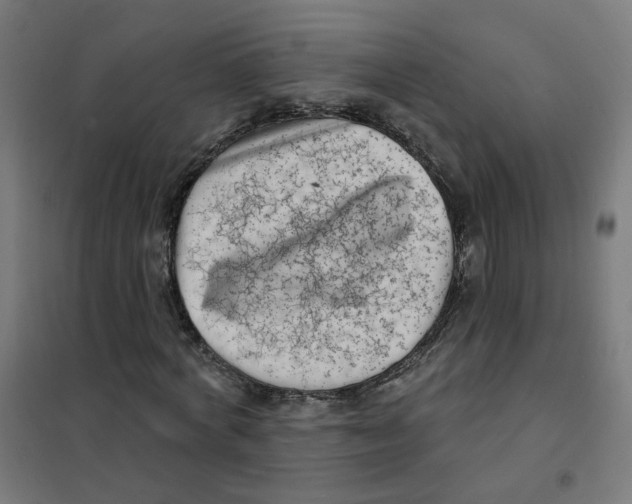 X0000101700772200808071158
