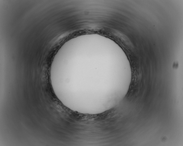 X0000101700773200808071158