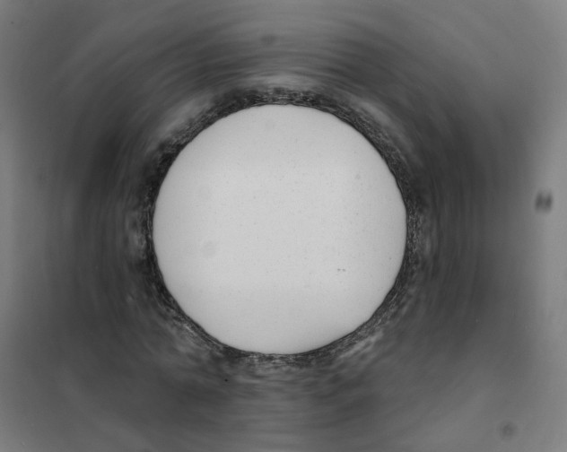 X0000101700774200808071158