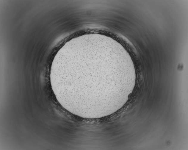 X0000101700775200808071158