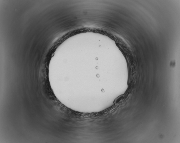 X0000101700776200808071158