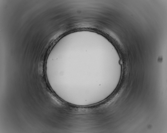 X0000101700777200808071158