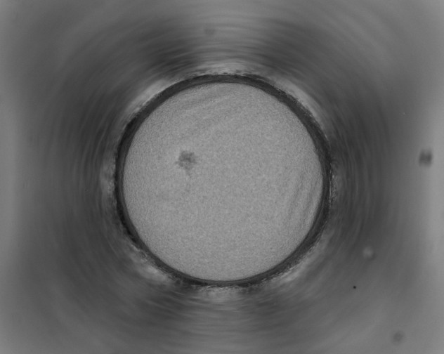 X0000101700778200808071158