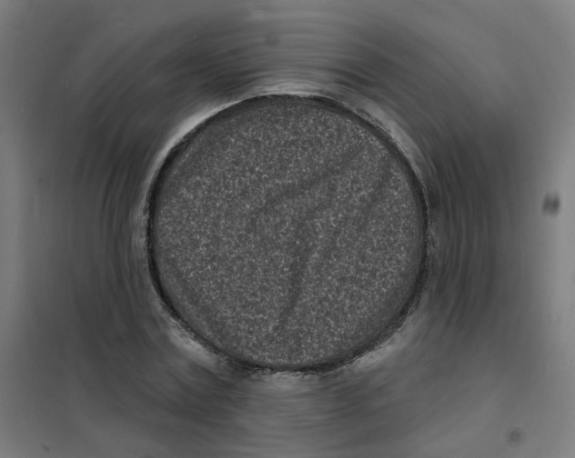 X0000101700779200808071158