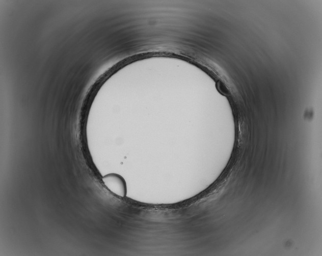 X0000101700780200808071158