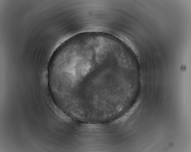 X0000101700781200808071158
