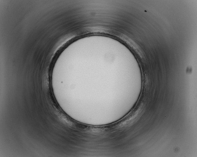 X0000101700782200808071158