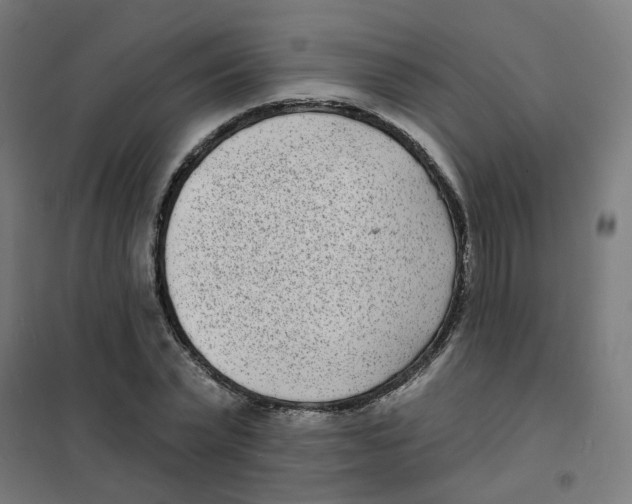 X0000101700783200808071158
