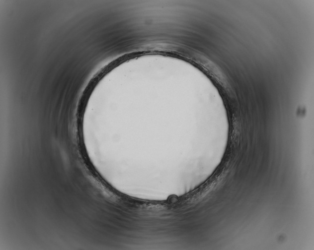 X0000101700784200808071158