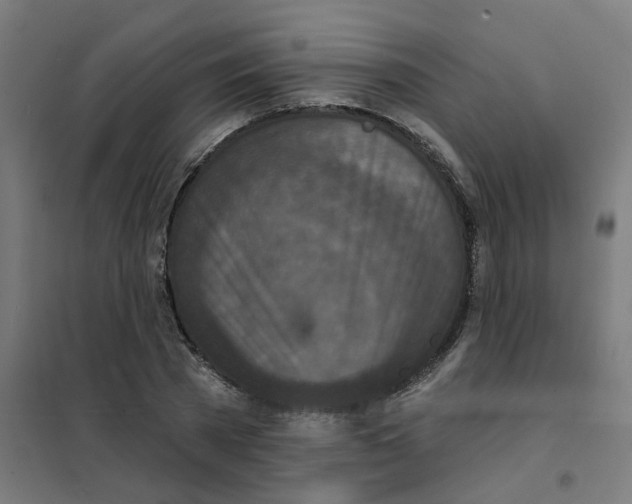 X0000101700785200808071158