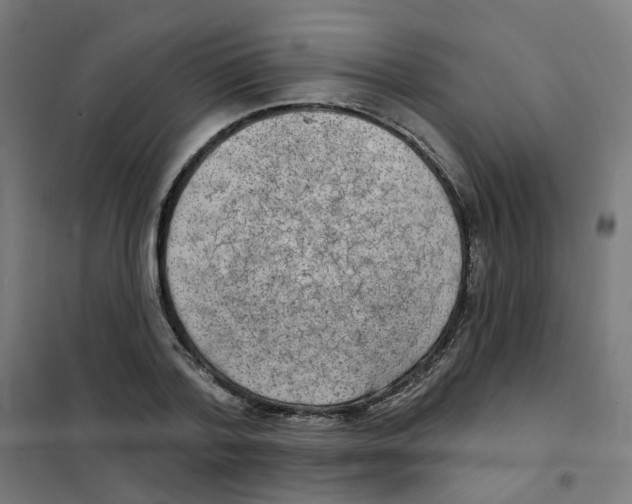 X0000101700788200808071158