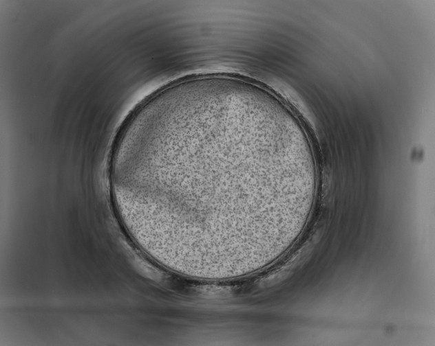 X0000101700789200808071158