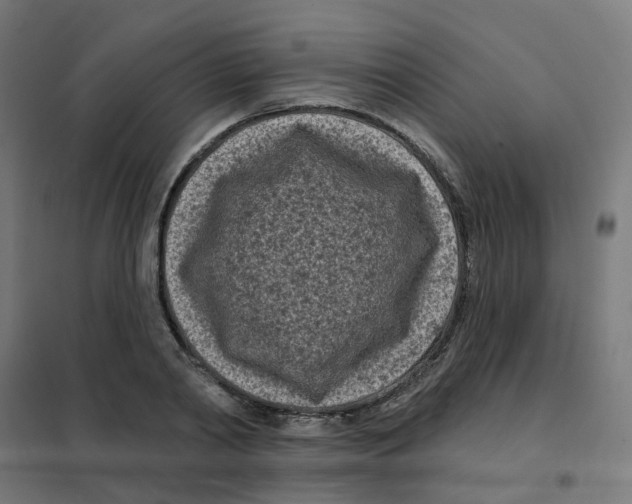X0000101700790200808071158