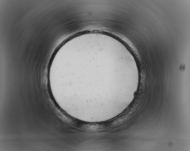 X0000101700791200808071158