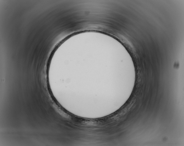 X0000101700792200808071158