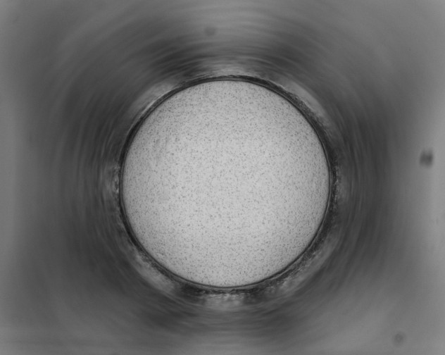 X0000101700793200808071158
