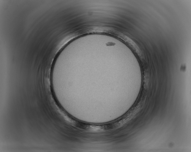 X0000101700794200808071157