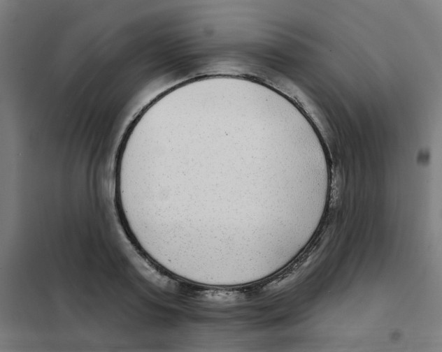 X0000101700795200808071157