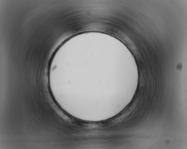 X0000101700796200808071157