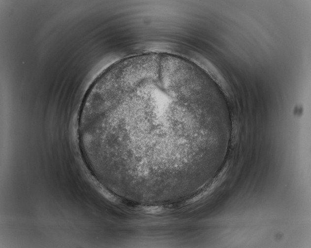 X0000101700798200808071157