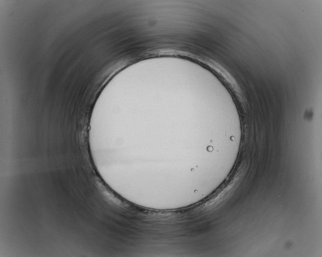 X0000101700801200808071157
