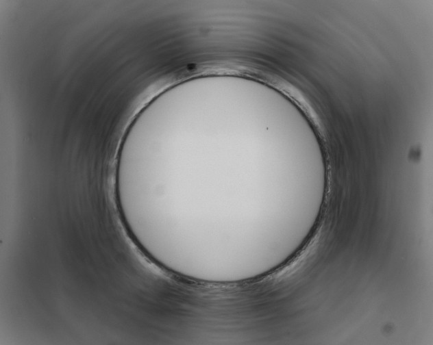 X0000101700802200808071157
