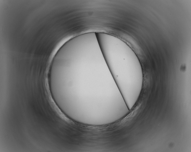 X0000101700804200808071157