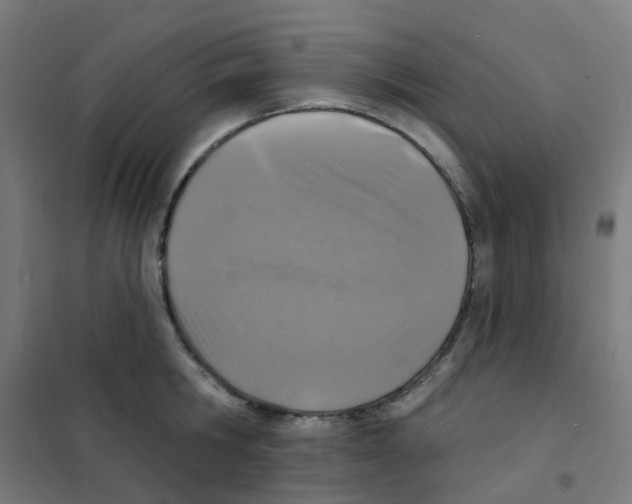 X0000101700806200808071157