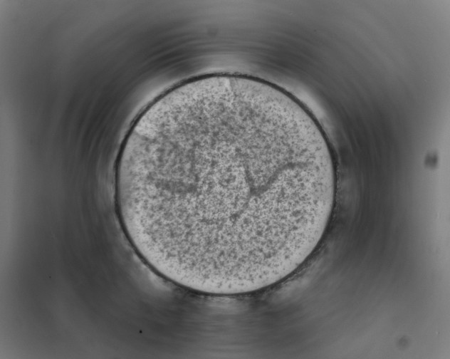 X0000101700807200808071157