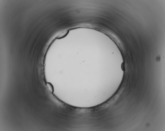 X0000101700808200808071157
