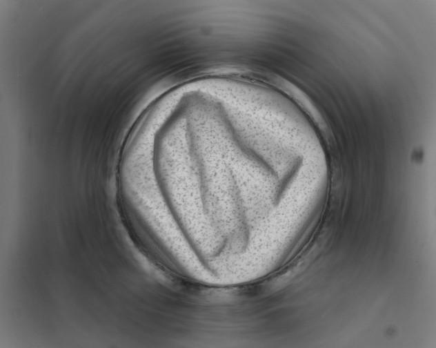 X0000101700810200808071157