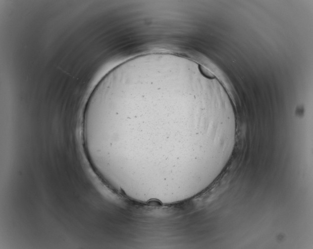 X0000101700811200808071157