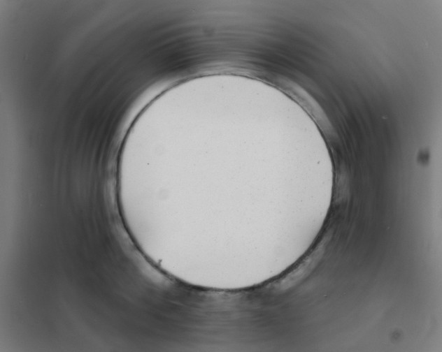 X0000101700812200808071157