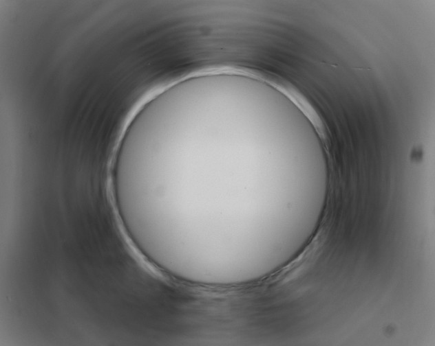 X0000101700813200808071157