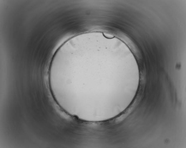 X0000101700814200808071157