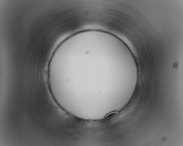 X0000101700815200808071157