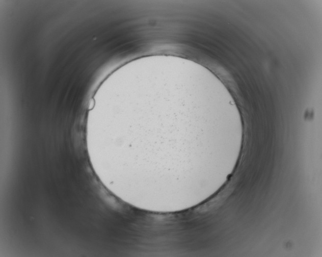 X0000101700816200808071157