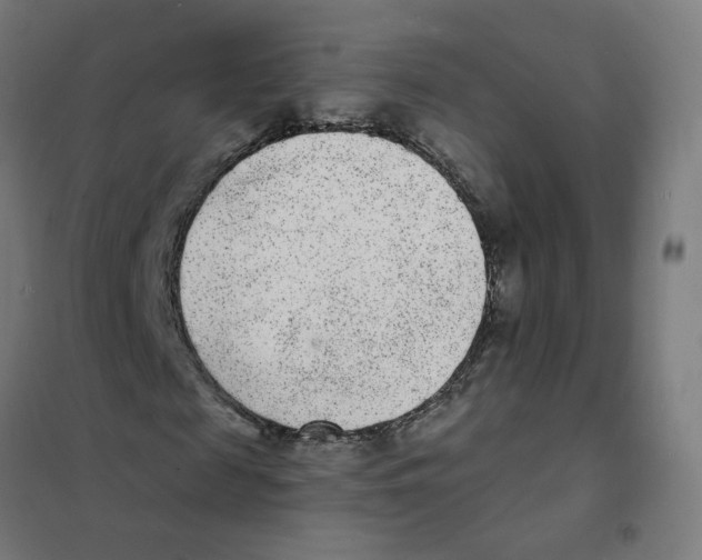 X0000101700817200808071156