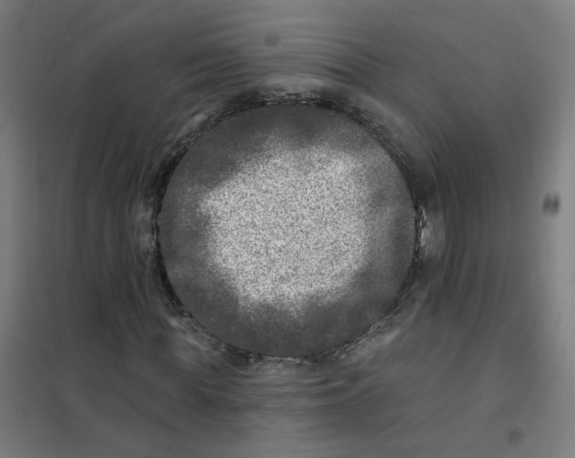 X0000101700819200808071156