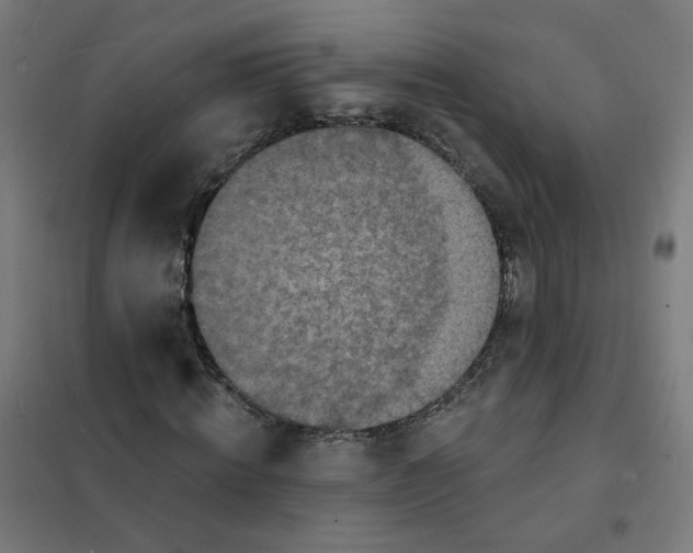 X0000101700820200808071156